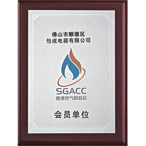 荣誉证书10